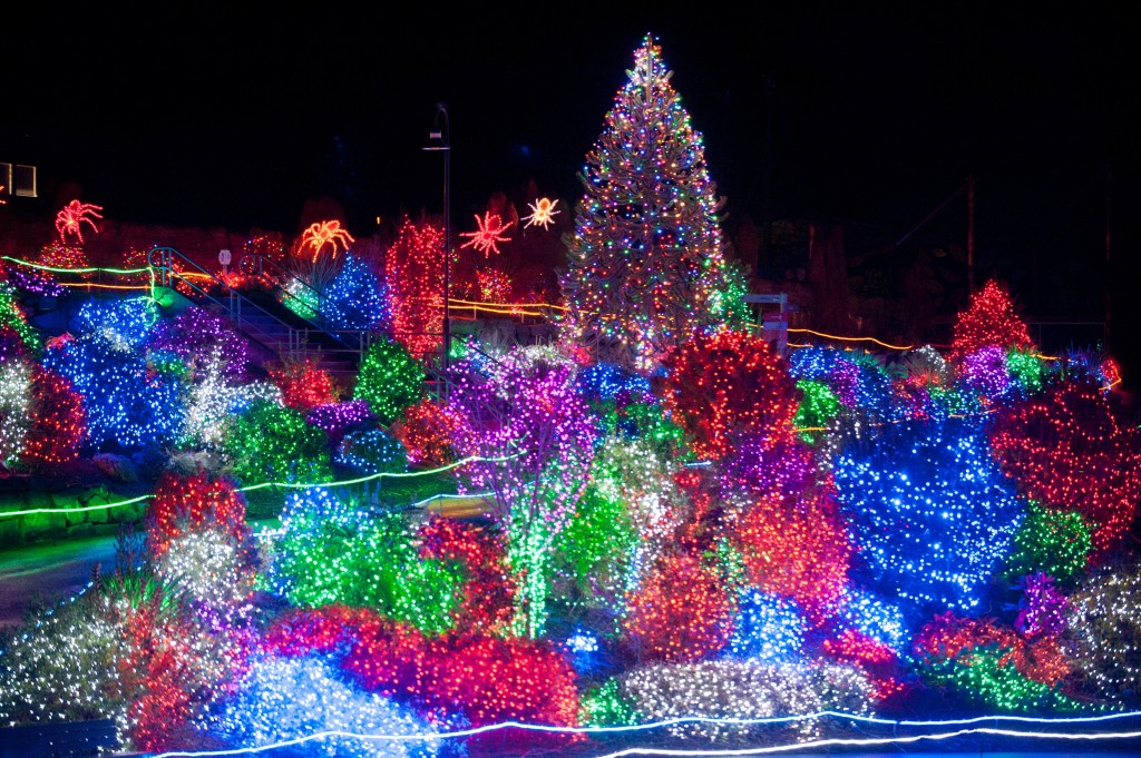 zoolights-029